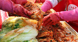 kimchi0910