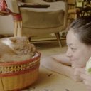 やっぱり猫が好き？『かもめ食堂』監督最新作『レンタネコ』