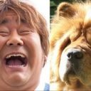 SMAPキムタクも犬に似ている？ 犬顔の男性芸能人8選！