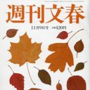 性暴力を、政治ゲームの道具にするべきではない。立憲民主党議員のセクハラ・強制わいせつ報道への反応に覚えた疑問