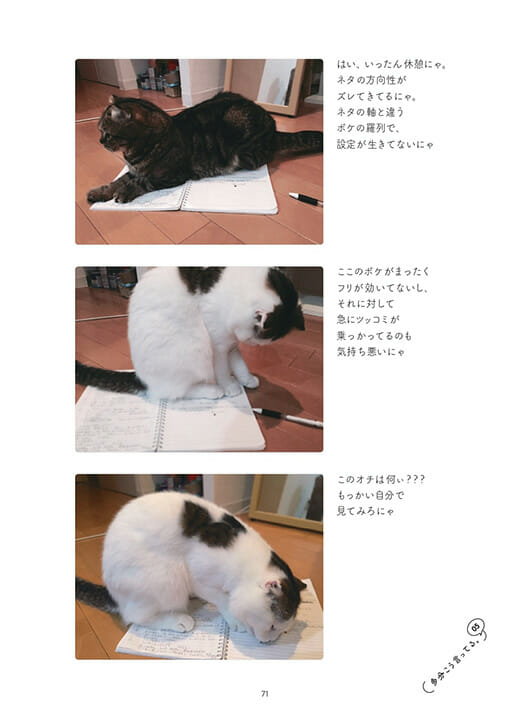 この猫愛は異常なのか かまいたち山内が撮って書いて描いた ねこうちさん 発売 日刊サイゾー