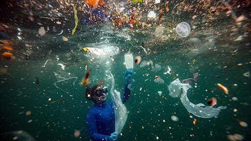 遅々として進まない海洋プラスチックごみ対策に切り札、群馬大が新プラ開発成功の画像1