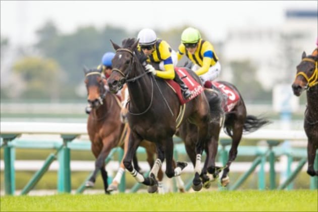 阪神牝馬Sを快勝して一躍ヴィクトリアマイルの主役に躍り出たマスクトディーヴァ